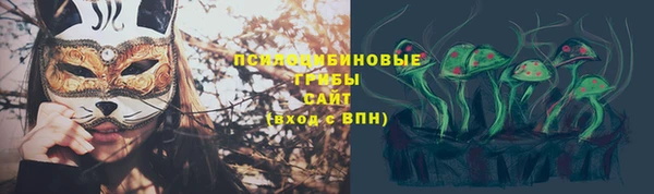 СК Бугульма