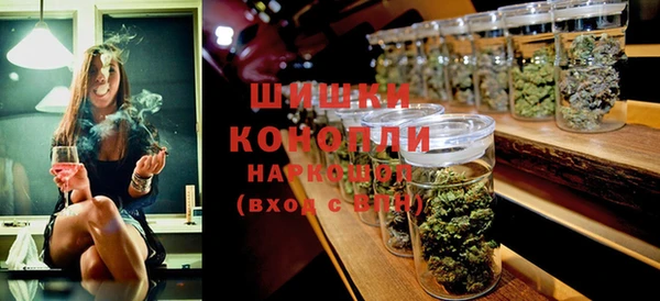 ECSTASY Бородино