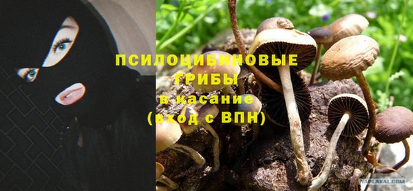 кокаин перу Приозерск