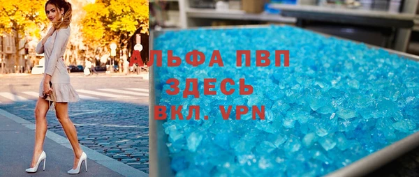 ECSTASY Бородино