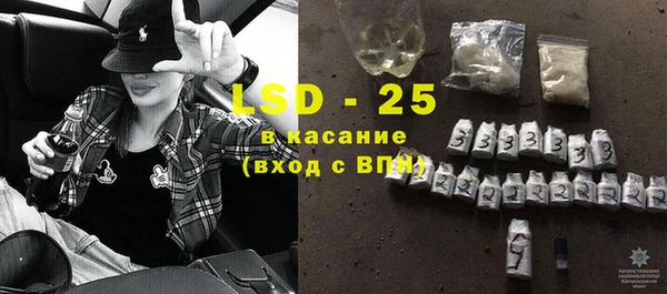 ECSTASY Бородино