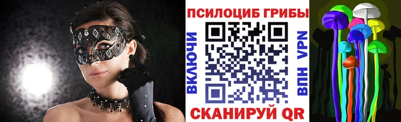 Псилоцибиновые грибы Psilocybe  Димитровград 